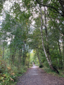 MYPAG path with trees summertime (1)
